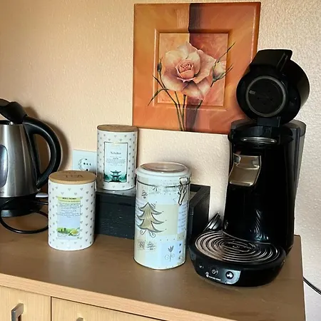 Apartment Centrally Located In The Rhine-Main Area Riedstadt Eksteriør billede